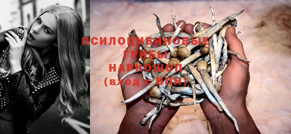 дурь Аркадак