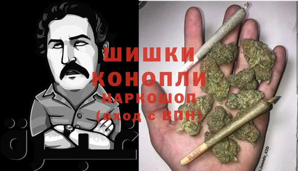 сатива Алексин