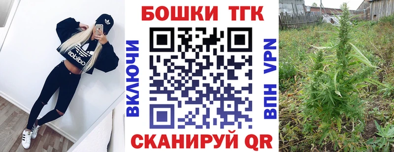 Каннабис планчик  Купить закладки  Судогда 